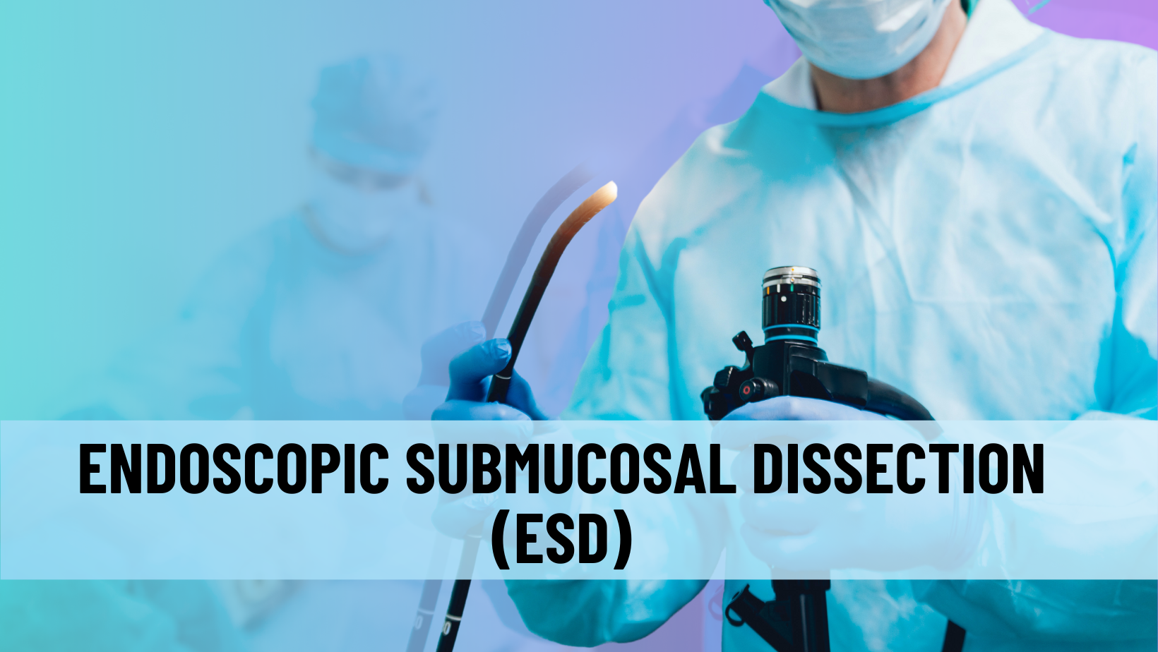 Endoscopic Submucosal Dissection Esd Isde